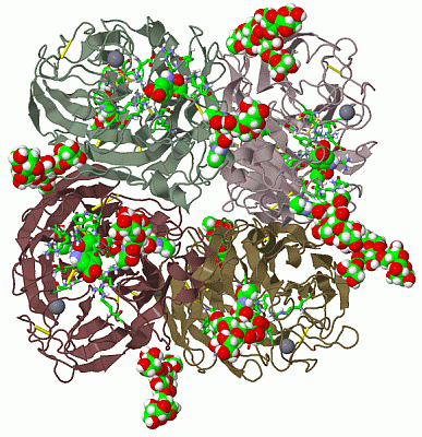 Image Biol.Unit 1 - manually