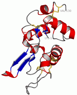 Image NMR Structure - manually