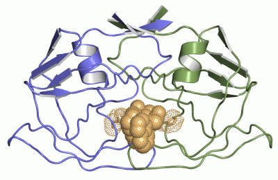 Image Asym./Biol. Unit - manually