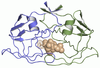 Image Asym./Biol. Unit - manually