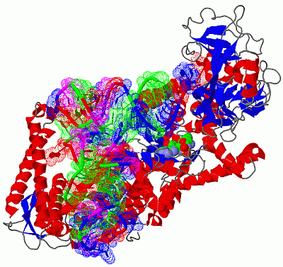 Image Biol.Unit 1 - manually