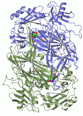 Image Asym./Biol. Unit - manually