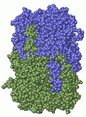 Image Asym./Biol. Unit - manually