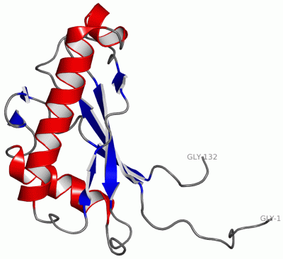 Image NMR Structure - manually