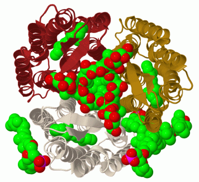 Image Biol.Unit 1 - manually