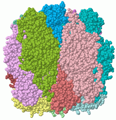 Image Asym./Biol. Unit - manually