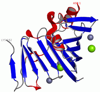 Image Asym./Biol. Unit - manually