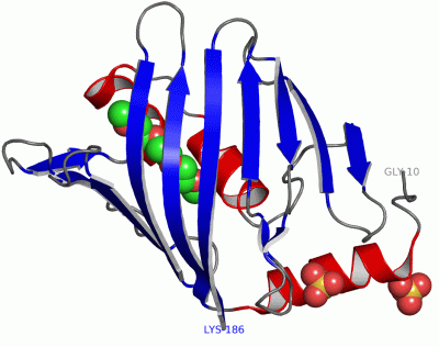 Image Asym./Biol. Unit - manually