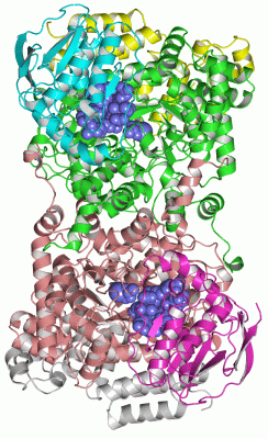 Image Asym./Biol. Unit - manually