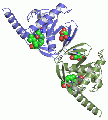 Image Asym./Biol. Unit - manually