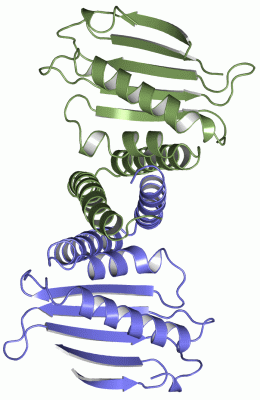 Image Asym./Biol. Unit - manually