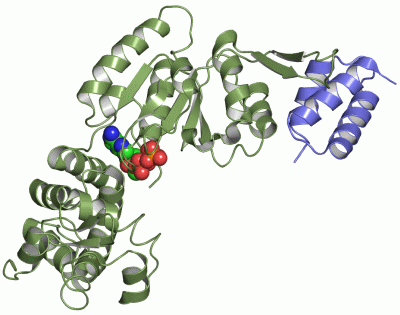 Image Asym./Biol. Unit - manually