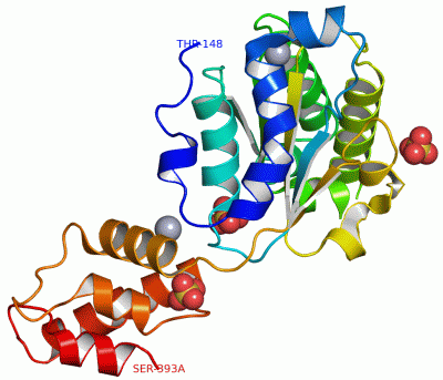 Image Asym./Biol. Unit - manually