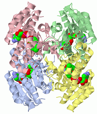 Image Biol.Unit 1 - manually