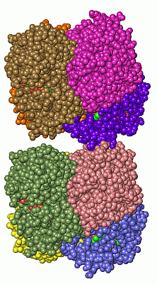 Image Asym.Unit - manually