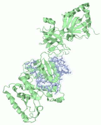 Image Biol.Unit 1 - manually