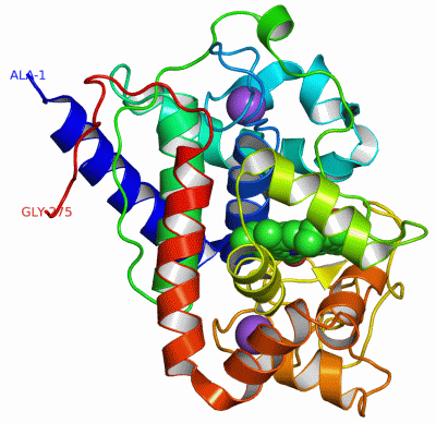 Image Asym./Biol. Unit - manually