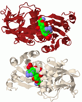 Image Biol.Unit 1 - manually