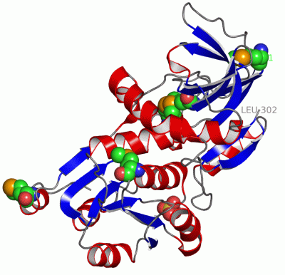 Image Asym./Biol. Unit - manually