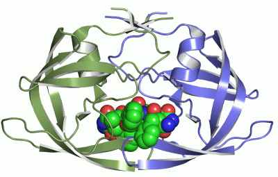 Image Asym./Biol. Unit - manually