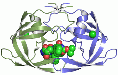 Image Asym./Biol. Unit - manually