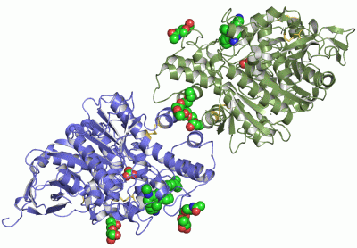 Image Asym./Biol. Unit - manually