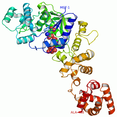 Image Asym./Biol. Unit - manually