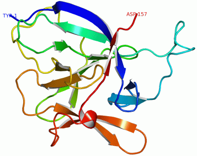 Image NMR Structure - manually