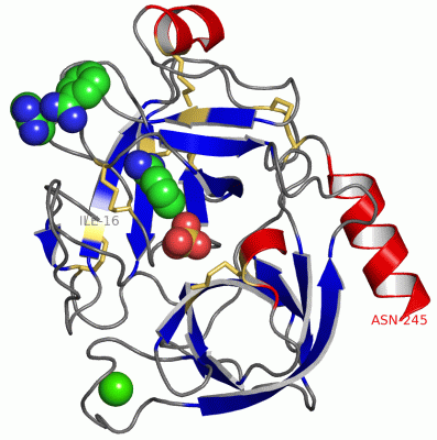 Image Asym./Biol. Unit - manually