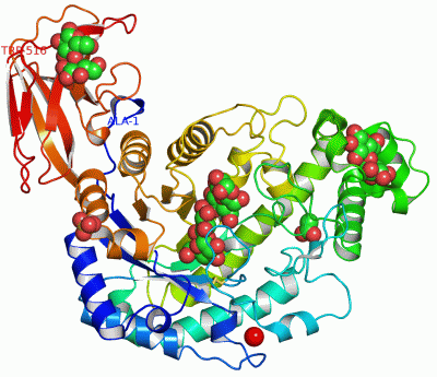Image Asym./Biol. Unit - manually