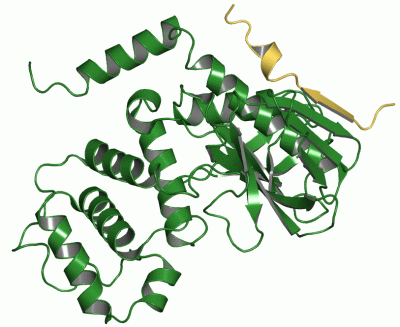 Image Asym./Biol. Unit - manually