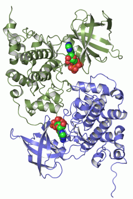 Image Asym./Biol. Unit - manually