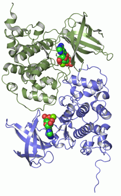 Image Asym./Biol. Unit - manually