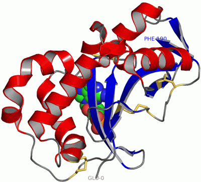 Image Asym./Biol. Unit - manually