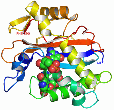 Image Asym./Biol. Unit - manually