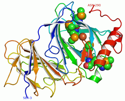 Image Asym./Biol. Unit - manually