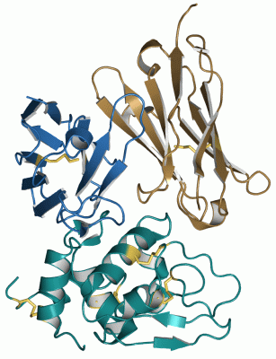 Image Asym./Biol. Unit - manually