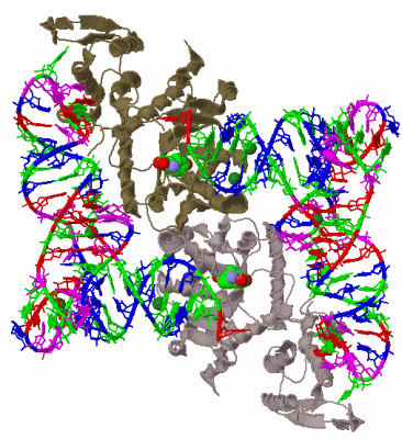 Image Biol.Unit 1 - manually