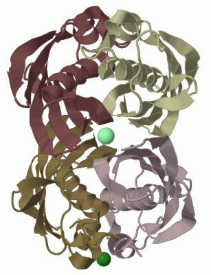 Image Biol.Unit 1 - manually