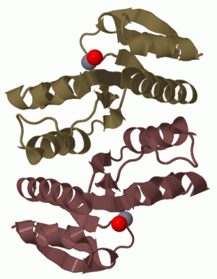 Image Biol.Unit 1 - manually