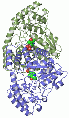 Image Asym./Biol. Unit - manually