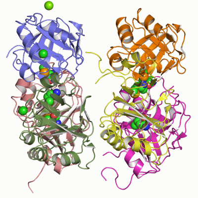 Image Asym.Unit - manually