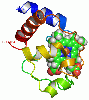 Image NMR Structure - manually