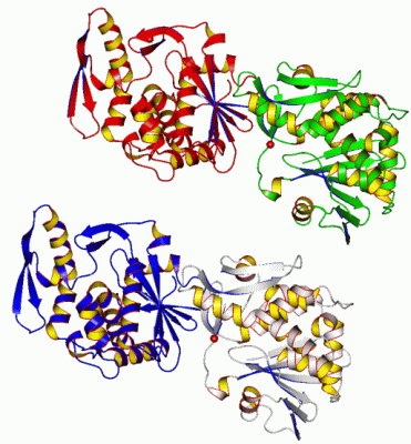 Image Asym.Unit - manually