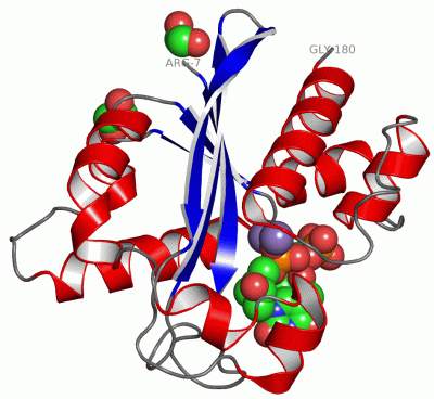 Image Asym./Biol. Unit - manually