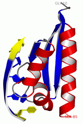 Image NMR Structure - manually