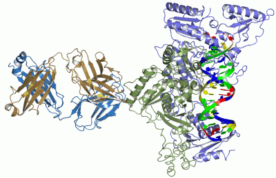 Image Asym./Biol. Unit - manually