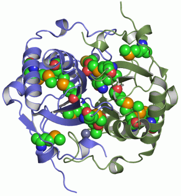 Image Asym./Biol. Unit - manually