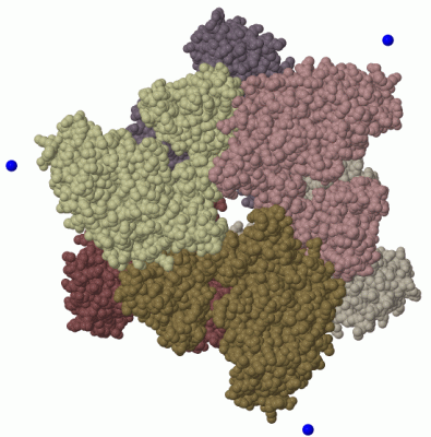 Image Biol.Unit 1 - manually