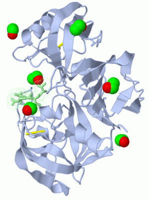 Image Asym./Biol. Unit - manually